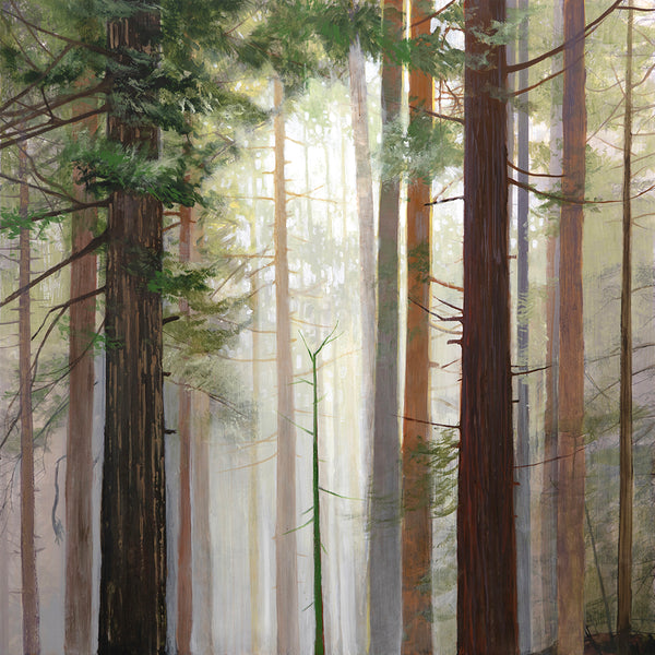 Steven Nederveen artwork 'Little Sapling' available at Bau-Xi Gallery Toronto, Ontario