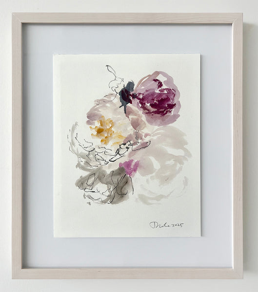 Darlene Cole artwork 'peonies (study II)' available at Bau-Xi Gallery Toronto, Ontario