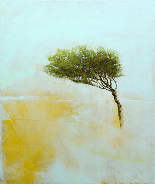 Robert Marchessault artwork 'Aria Umida' available at Bau-Xi Gallery Toronto, Ontario