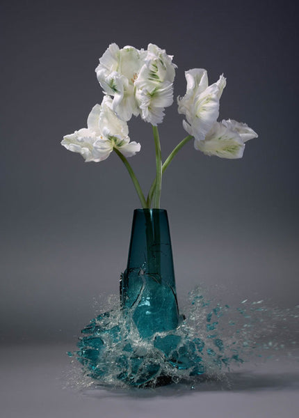 Martin Klimas artwork 'Untitled (Tulipa VIII)' available at Bau-Xi Gallery Toronto, Ontario