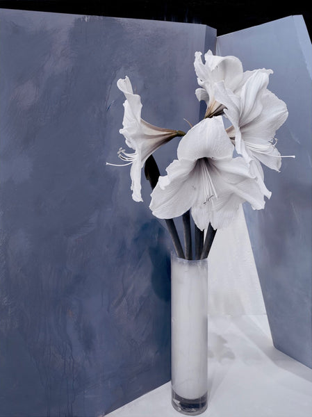 Andre Petterson artwork 'Alabaster' available at Bau-Xi Gallery Vancouver