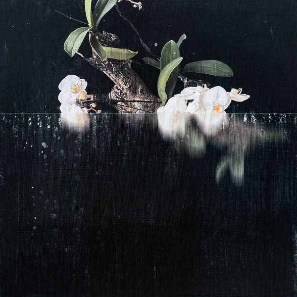 Andre Petterson artwork 'Dip' available at Bau-Xi Gallery Vancouver