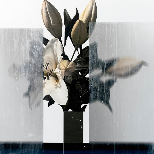 Andre Petterson artwork 'From the Shadow' available at Bau-Xi Gallery Vancouver