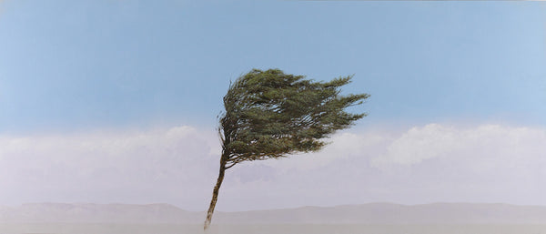 Robert Marchessault artwork 'Windswept' available at Bau-Xi Gallery Vancouver