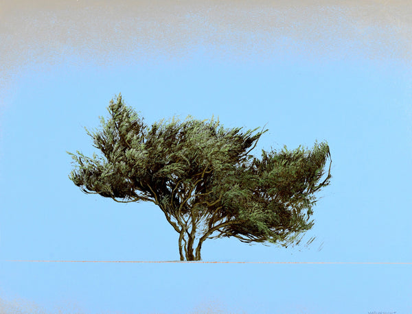 Robert Marchessault artwork 'Talpa II' available at Bau-Xi Gallery Vancouver