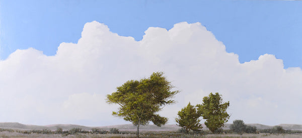 Robert Marchessault artwork 'Taos Plano Wash' available at Bau-Xi Gallery Vancouver