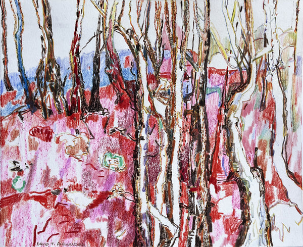 David T. Alexander artwork 'Hotter Land' available at Bau-Xi Gallery Vancouver