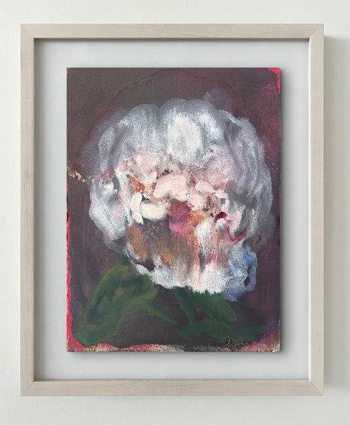 peonies (study : charm)
