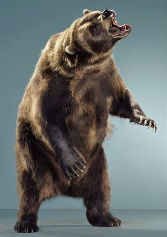 Untitled (Ursine, #16C-49)