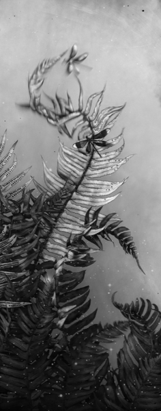 Snakes and Ladders - Available in 2 sizes