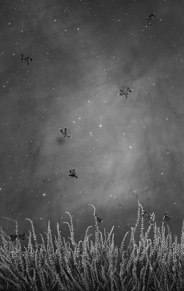 Stairway to Heaven - Available in 3 Sizes