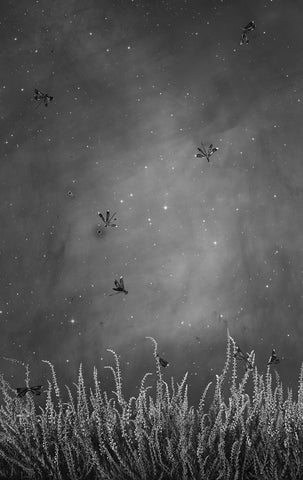 Stairway to Heaven - Available in 3 Sizes