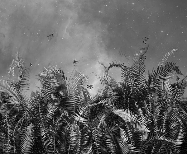 Wishing You Flowers, Wishing You Stars - Available in 4 sizes