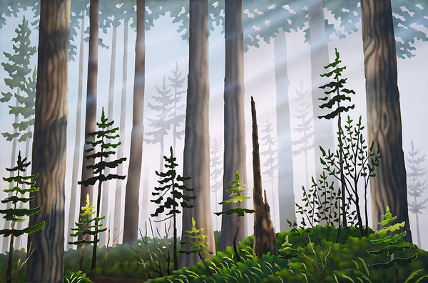 The Forest as a Filter