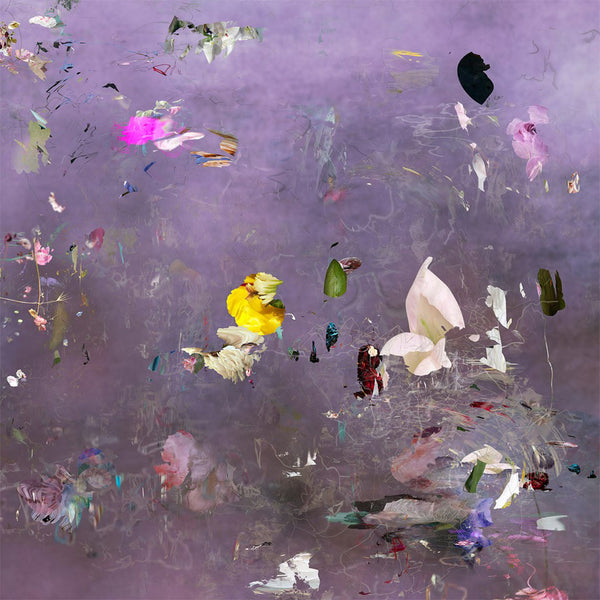 Changing Moods - Lilas 01