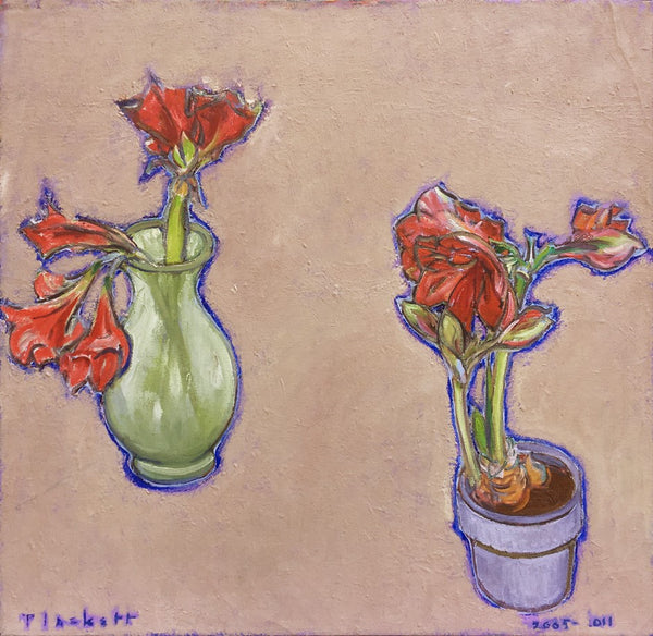 Two Amaryllis