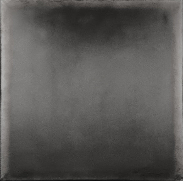 Queen Charlotte Veil