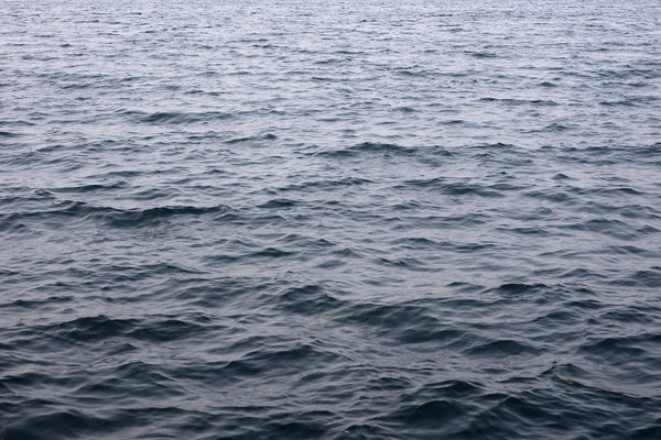 Everything. / Everything / Overtakes Me Eventually - 3 Sizes