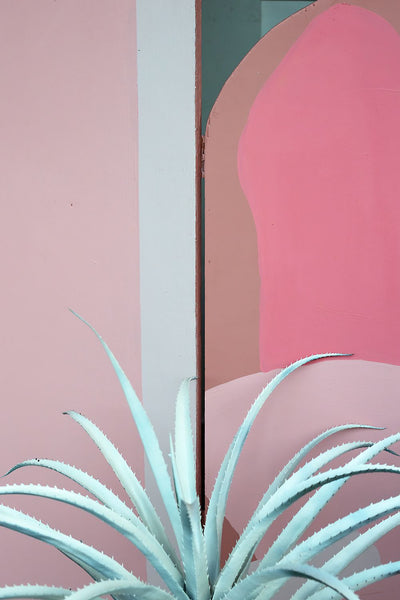 Your Confidence / Your Out Spoken Queerness - 3 Sizes