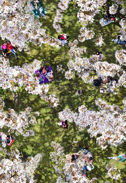 Hanami, Amstelveen - 57 x 39 in.