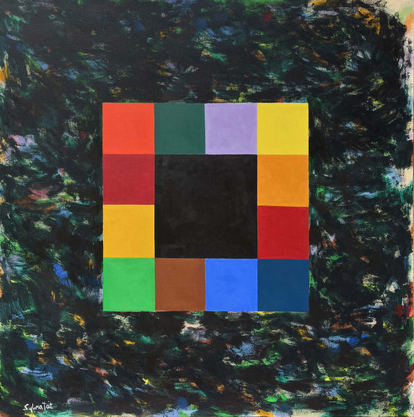 Thirteen Squares In An Agitated Field