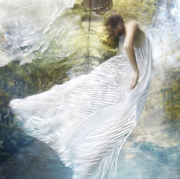 Barbara Cole Artwork | Bright, exciting, abstract, figurative, underwater figurative photographs.