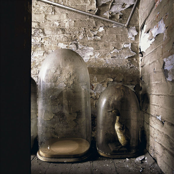 Dan Dubowitz Artwork | Moody, dramatic, dystopian architectural photographs of deserted cities.