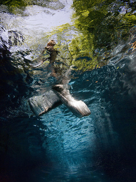 Barbara Cole Artwork | Bright, exciting, abstract, figurative, underwater figurative photographs.