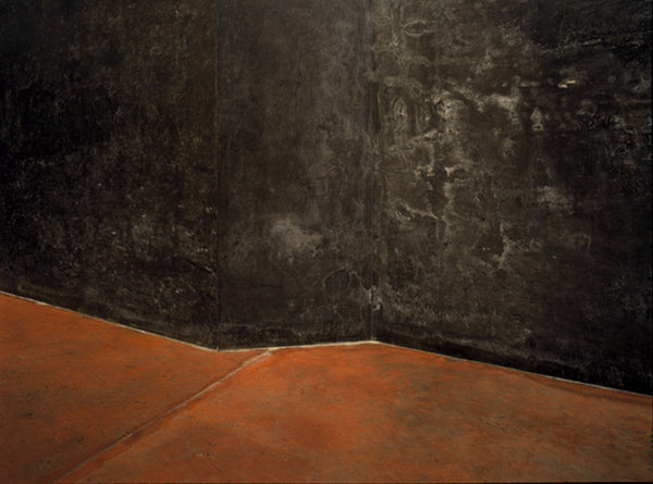 Elliott Wilcox Artwork | Colourful minimal graphic compositions of tennis courts, squash courts, and rock climbing walls.