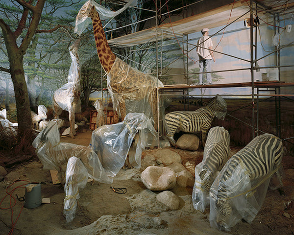 Richard Barnes Artwork | Dramatic photographs of animals, museum interiors and architecture.