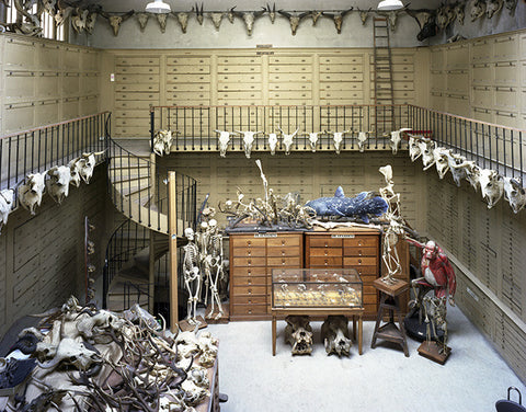 Collection Rm MCA, Paris fr. Animal Logic - available in 3 sizes