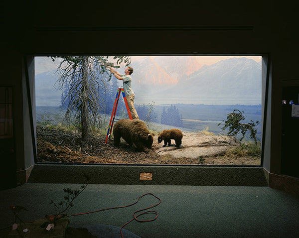 Richard Barnes Artwork | Dramatic photographs of animals, museum interiors and architecture.