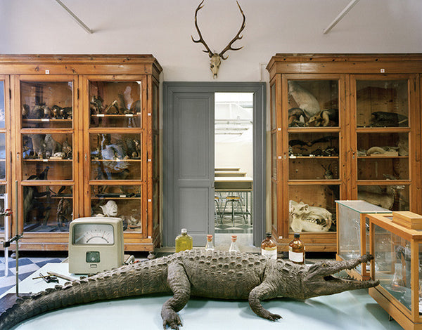 Richard Barnes Artwork | Dramatic photographs of animals, museum interiors and architecture.