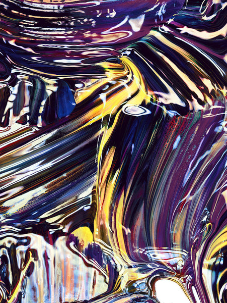 Jill Greenberg Artwork | Colourful, cute and expressive studio portraits of monkeys, horses, bears and abstract paintings.