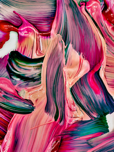 Jill Greenberg Artwork | Colourful, cute and expressive studio portraits of monkeys, horses, bears and abstract paintings.