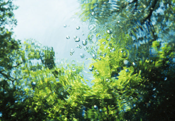 Barbara Cole Artwork | Bright, exciting, abstract, figurative, underwater figurative photographs.