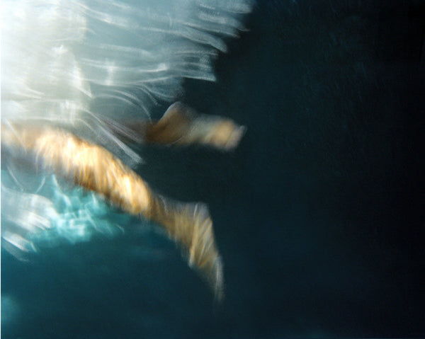 Barbara Cole Artwork | Bright, exciting, abstract, figurative, underwater figurative photographs.