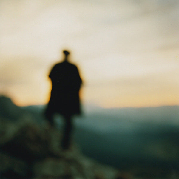 Virginia Mak Artwork | Colourful, blurred, soft-focus photographs of figures in nature and interiors.