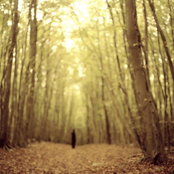 Virginia Mak Artwork | Colourful, blurred, soft-focus photographs of figures in nature and interiors.