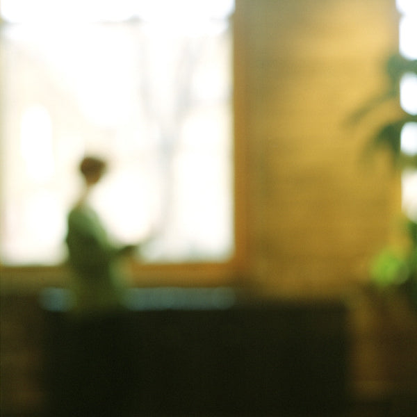 Virginia Mak Artwork | Colourful, blurred, soft-focus photographs of figures in nature and interiors.