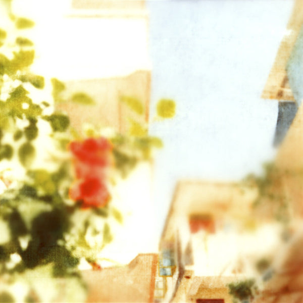 Virginia Mak Artwork | Colourful, blurred, soft-focus photographs of figures in nature and interiors.