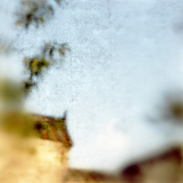 Virginia Mak Artwork | Colourful, blurred, soft-focus photographs of figures in nature and interiors.