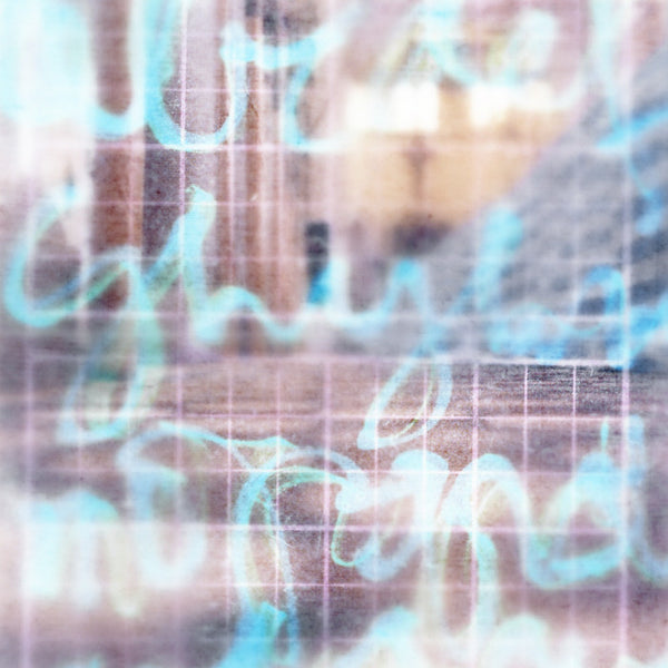 Virginia Mak Artwork | Colourful, blurred, soft-focus photographs of figures in nature and interiors.