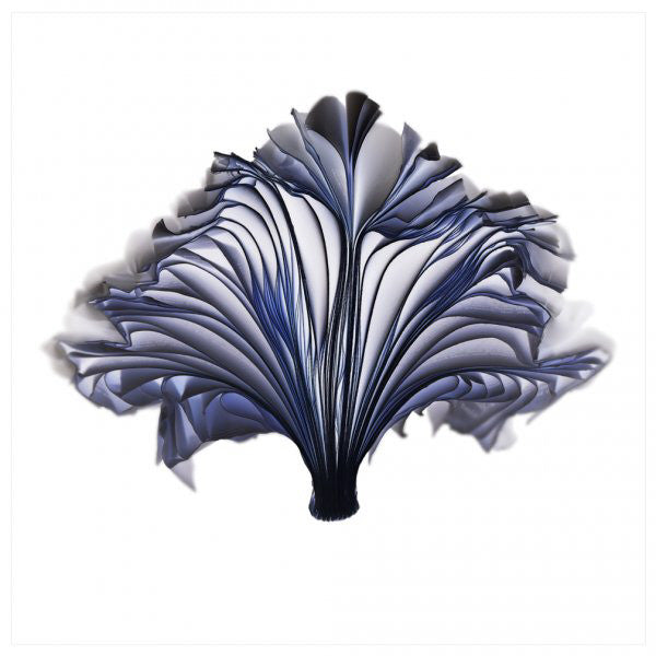 Cara Barer Artwork | Colourful and monochromatic photography orbs circular and organic abstract book art sculpture.