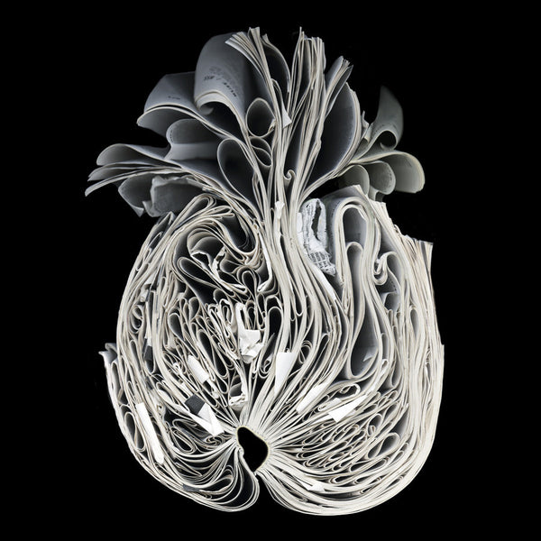 Cara Barer Artwork | Colourful and monochromatic photography orbs circular and organic abstract book art sculpture.