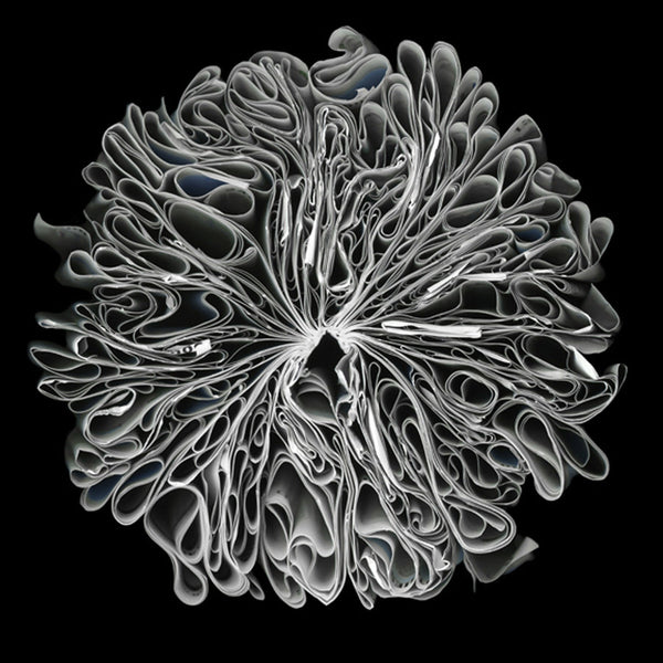 Cara Barer Artwork | Colourful and monochromatic photography orbs circular and organic abstract book art sculpture.