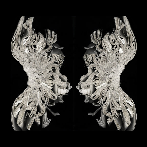 Cara Barer Artwork | Colourful and monochromatic photography orbs circular and organic abstract book art sculpture.