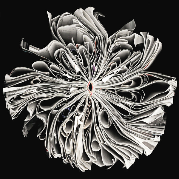 Cara Barer Artwork | Colourful and monochromatic photography orbs circular and organic abstract book art sculpture.