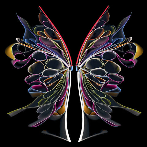 Butterfly II - 24x24 in.