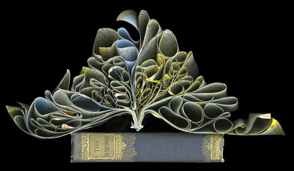 Cara Barer Artwork | Colourful and monochromatic photography orbs circular and organic abstract book art sculpture.